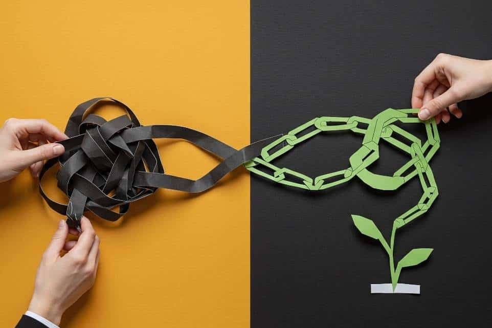 capacidade de resolver problemas